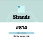 NYT Strands Answer Today (May 26)_ Hints and Spangram for “On the nature trail” (#814) - Baskingamer.com